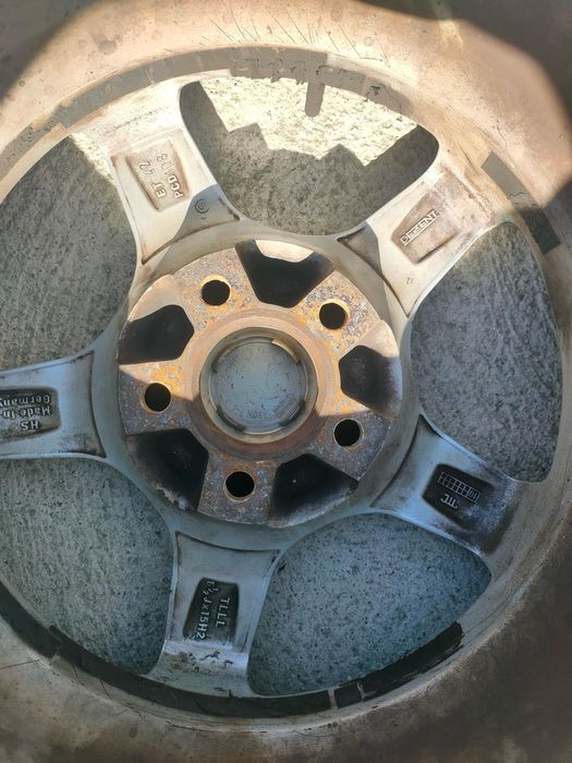 Vand avepole de iarna