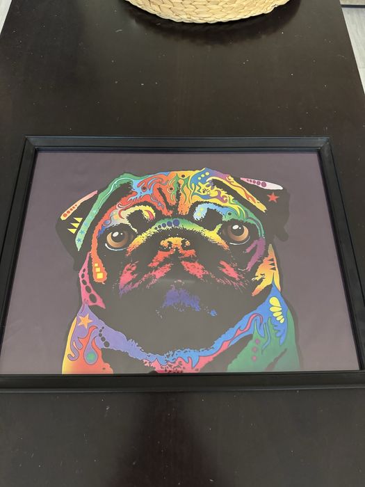 Картини мопс и други