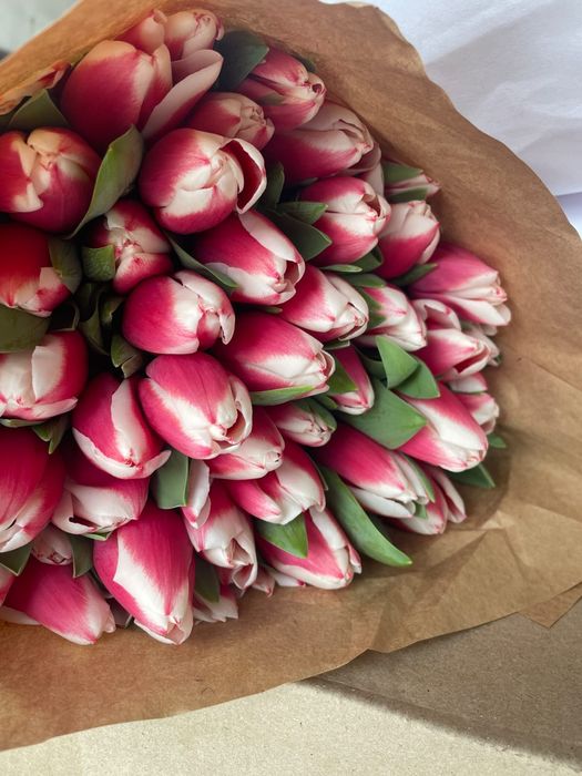 Тюльпано оптом на 8 марта по 450тг