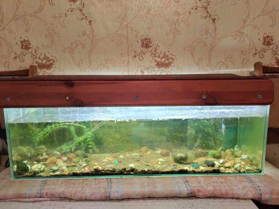 Безкаркасный аквариум.