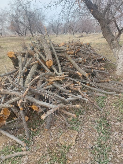 Otin sotiladi fargona