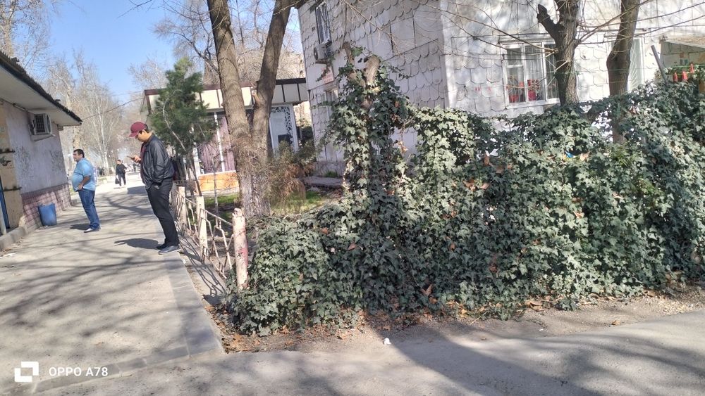 Спутник 1 3ком пад офис магазин