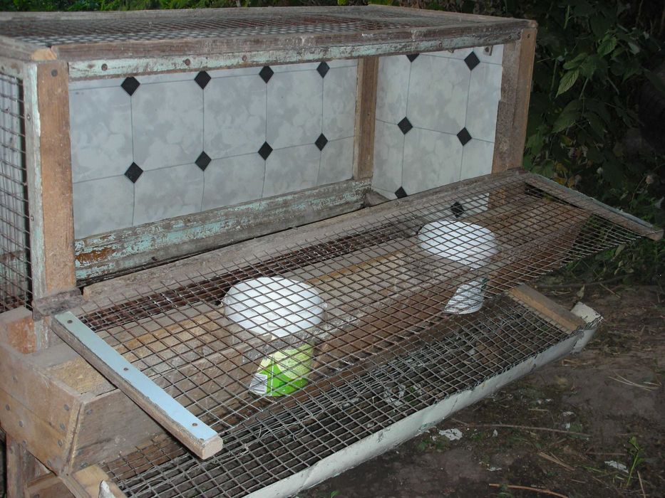 Клетка для кур б/у