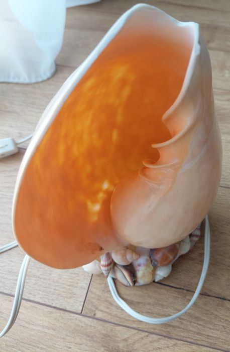 Veioza/lampa scoica/ scoici handmade (unicat)