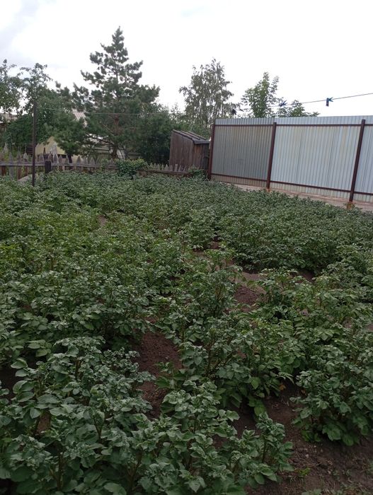 Продаётся Дом на Берлине