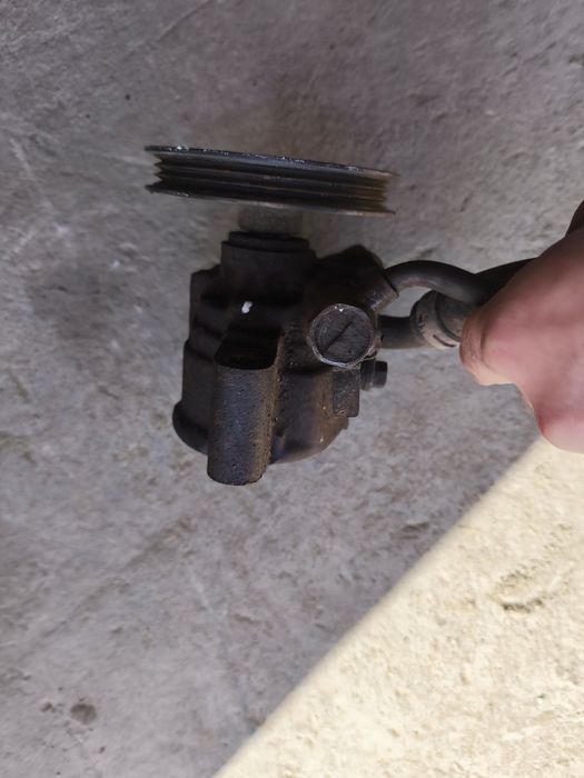 Продам Гур тоета Ипсум