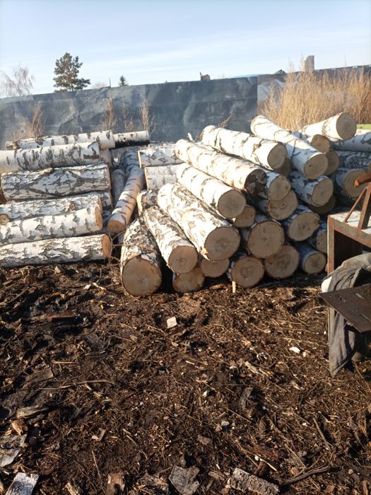Продам кругляк берёза 1,25м