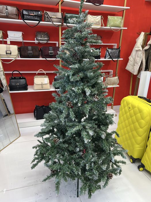 Елка шырша 165 см