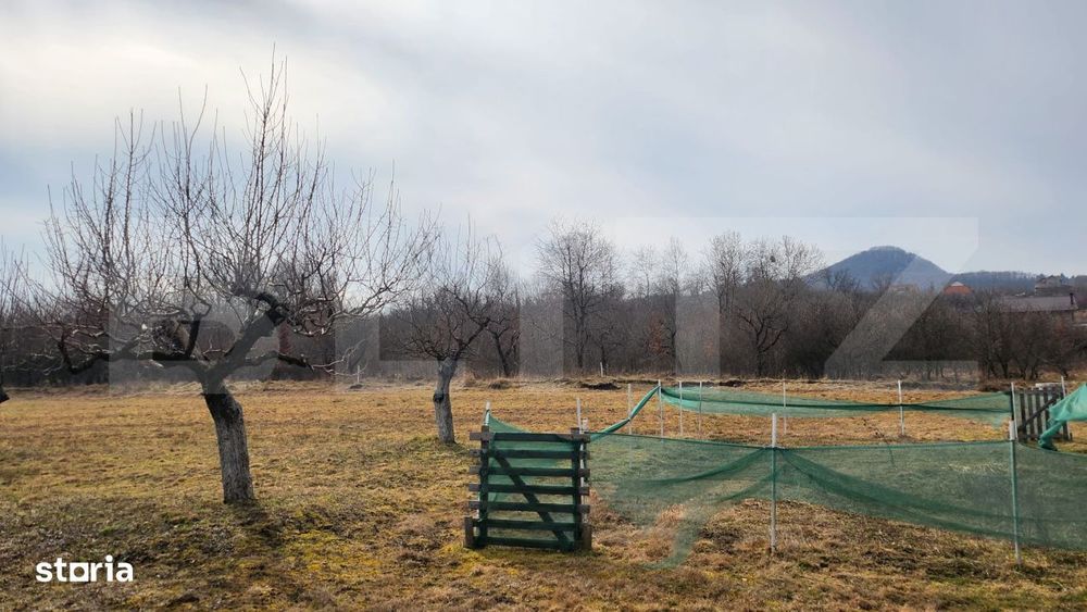 Teren extravilan, 20 de arii, Valea Rusului, pretabil pentru investiti