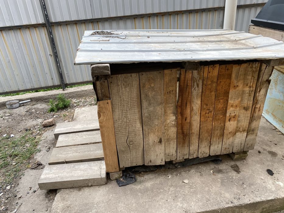 Будка для собаки (термо)