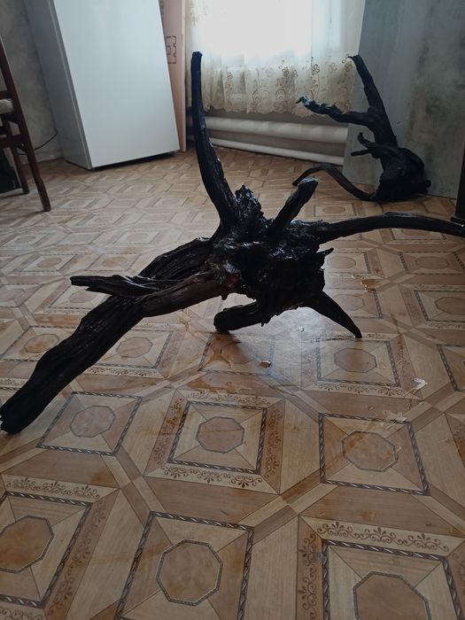 Мангра Карягала сотилади