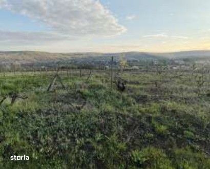 Teren extravilan Comarna, ID: R3075286