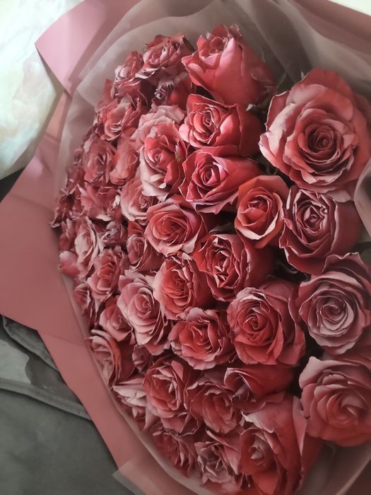 Срочно продам 51 метровые розы