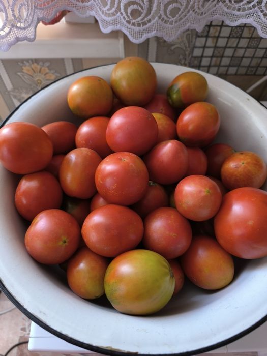 продам саженцы малины, ,  свежие,до
