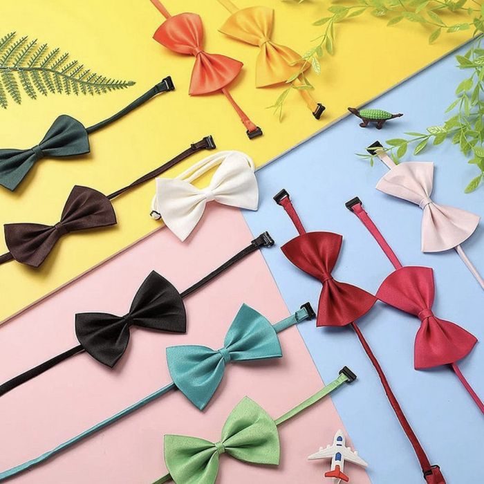 Дрехи, играчки и аксесоари за кучета и котки