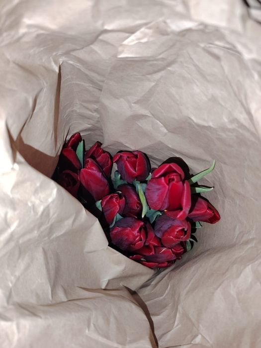 Тюльпаны на 8 марта