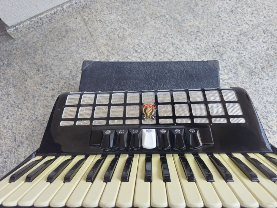 Acordeon Parrot cu 80 bași negru