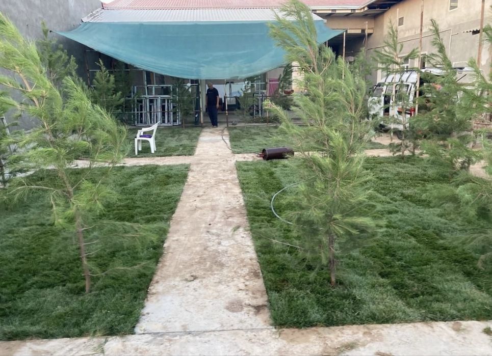 Газоны вышего качества и прочие другиеуслуги