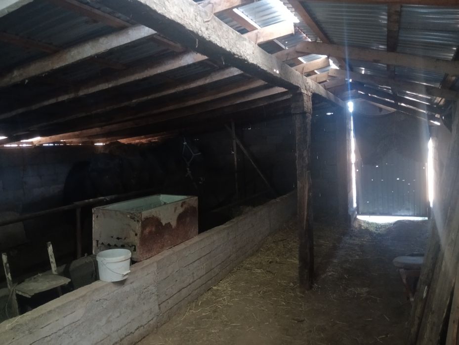 Ореке арты гор газ