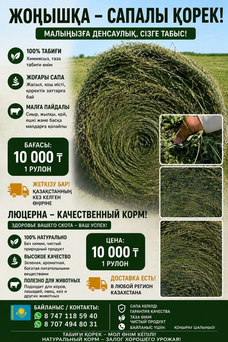 Жонышка сатылады! ( Клевер-Люцерна )!