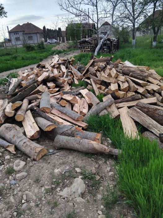 Lemne de foc uscate