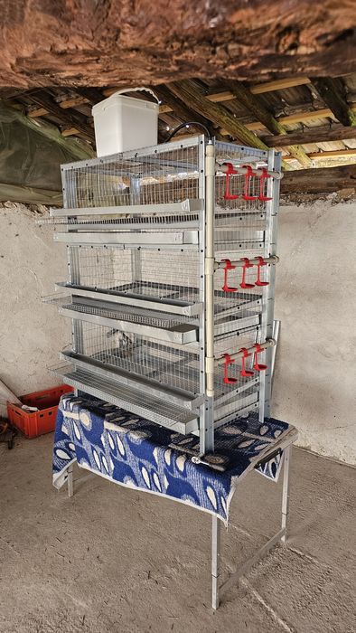 Клетки за Пъдпъдъци