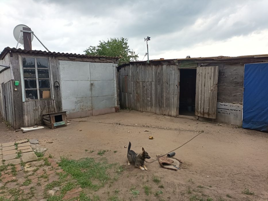 Продам дом в селе