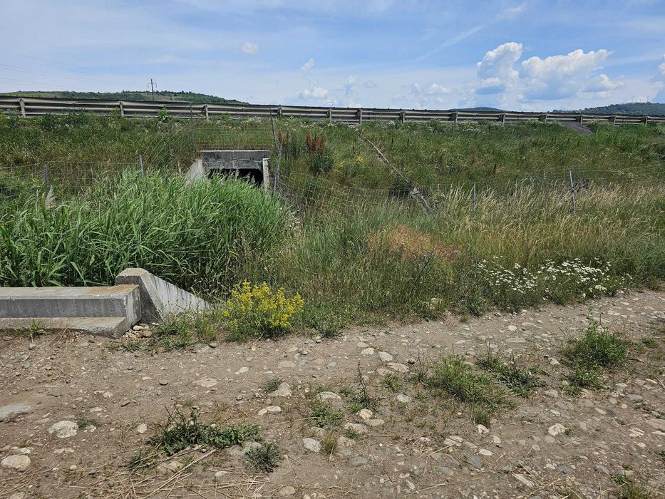 Teren de vânzare – 2.824 mp – Municipiul Sibiu