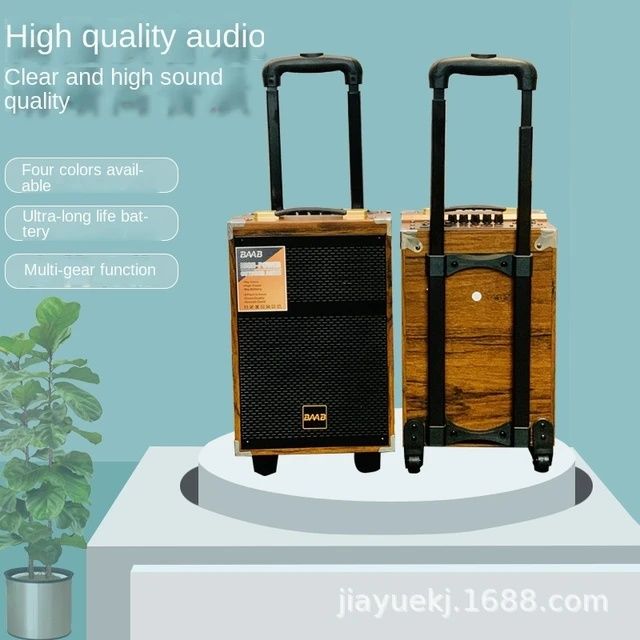 BAAB-Q8 Udar Bass karokoe