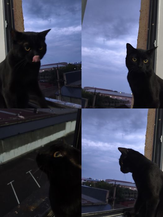 Отдам даром в хорошие руки!