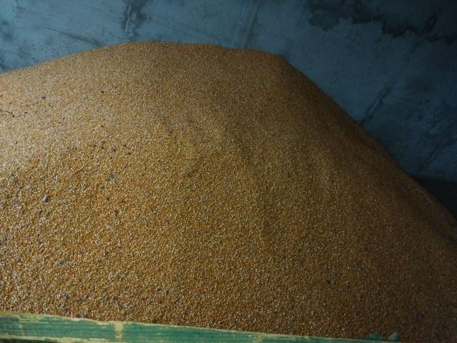 Porumb  boabe cantitate mare