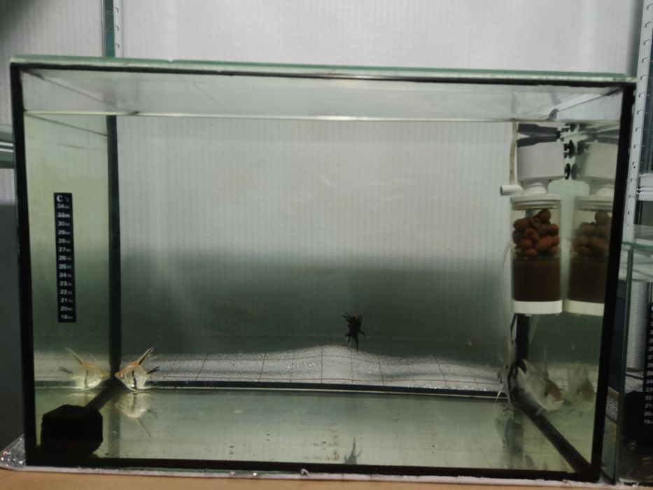 Продам аквариумы