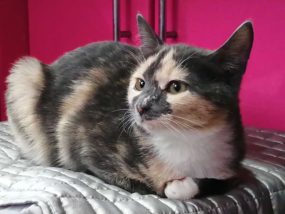 Бабочка, это её имя, уже 6 месяцев девочке.