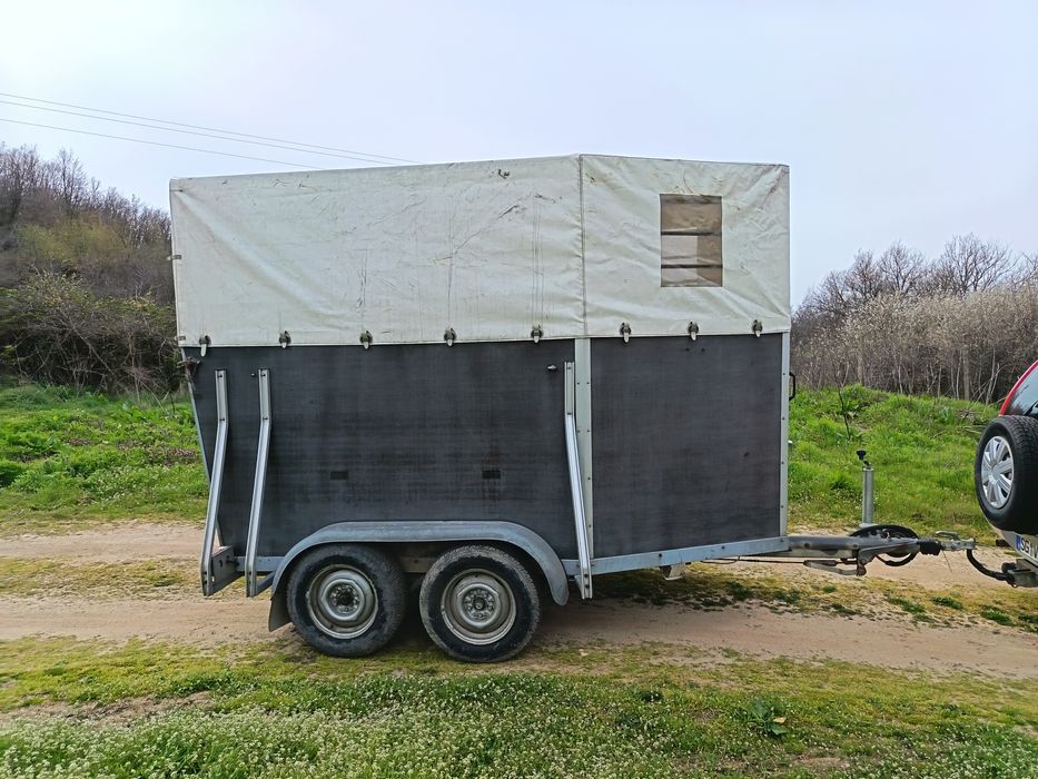 Ремарке за коне.