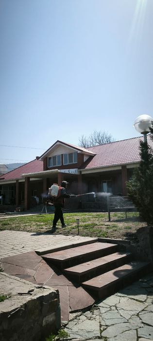 Опрыскивание плодова-ягодных деревьев