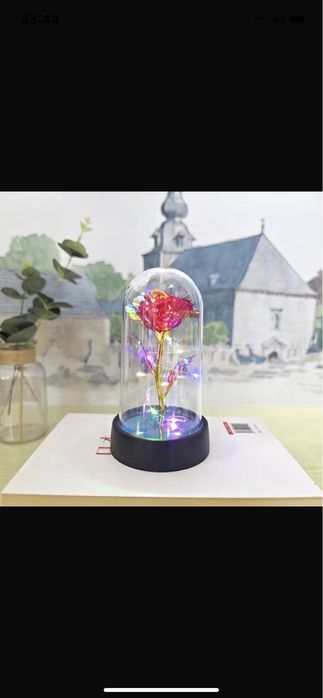 Роза в колбе цветы сувенир подарок