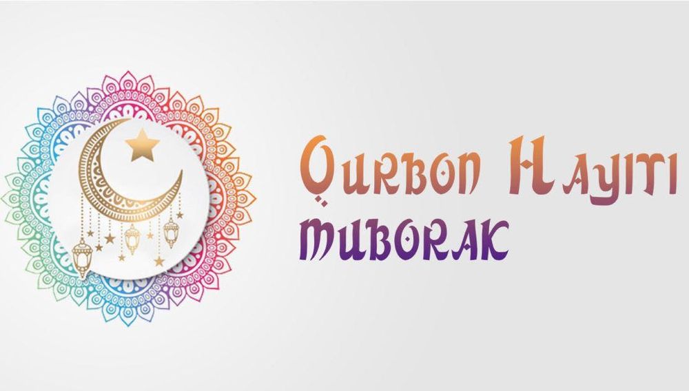 Кошка с 2 цетами галаз