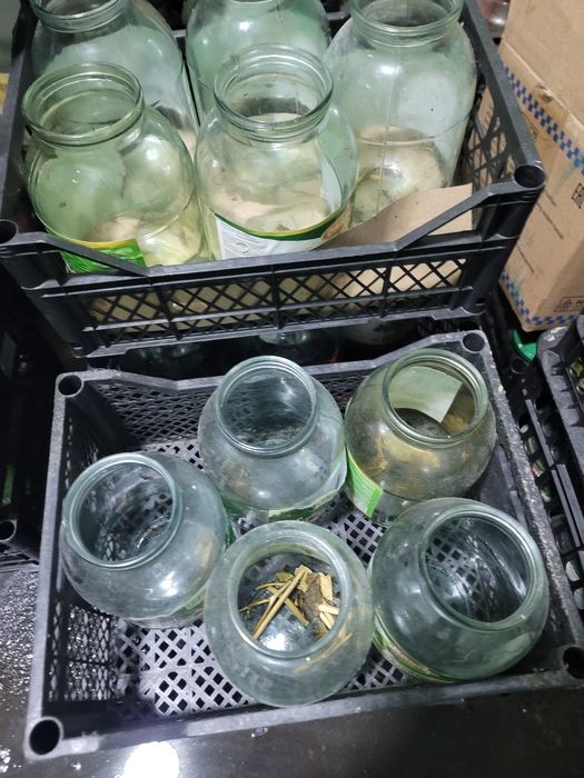 Банки и канистор продам