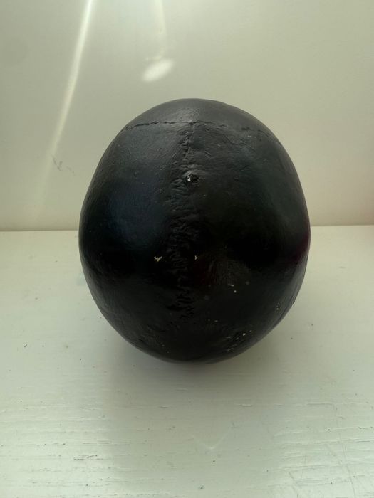 Череп Отливка на истински (модел) на човешки череп, украса за Хелоуин