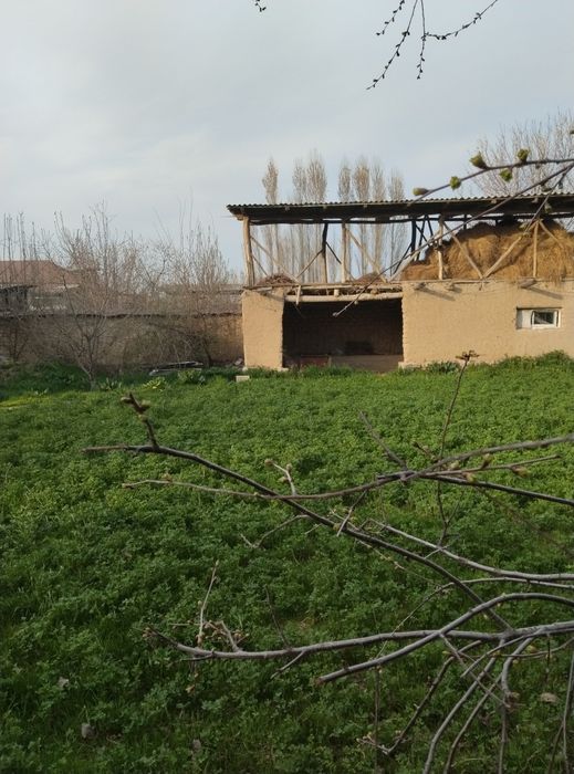 Ховли уй сотилади. Юқори Чирчиқ тумани Саксанота КФИ .Тоштуғизоқ мах.