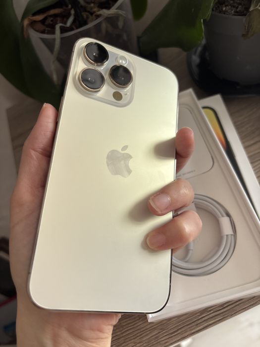 Apple iPhone 14 Pro Max, Gold, 256 GB