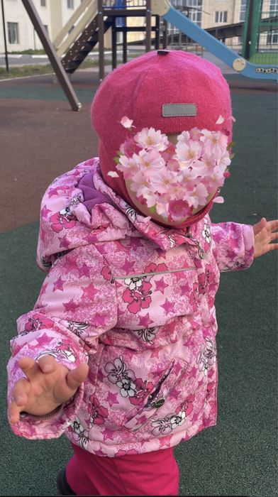 Комбенозоны , Batik, Lassie.