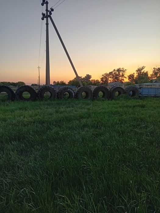 Продам дрова столбы