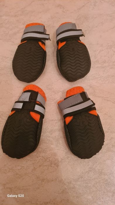 Ботинки и сапоги для собак