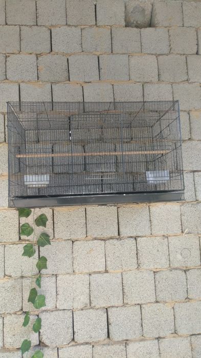 ПОПУГАИ,Клетки , корма