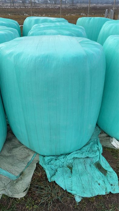 Vand baloti de lucerna infoliata