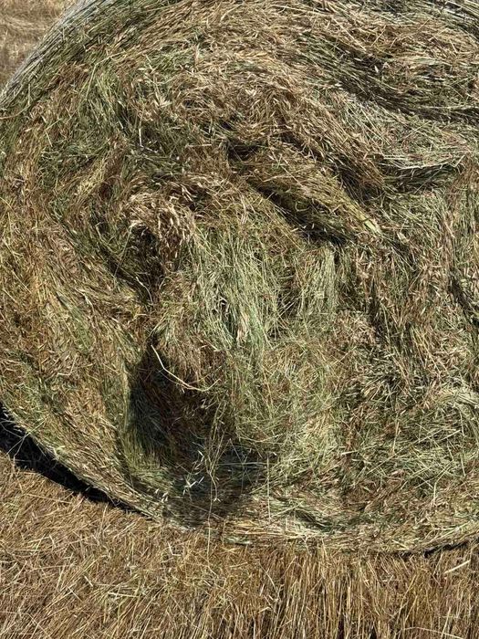 Продавам бали ливадно сено