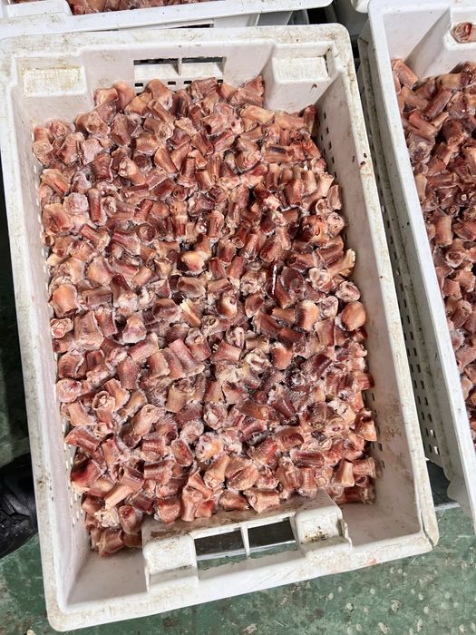 Куриные обрезки для корм