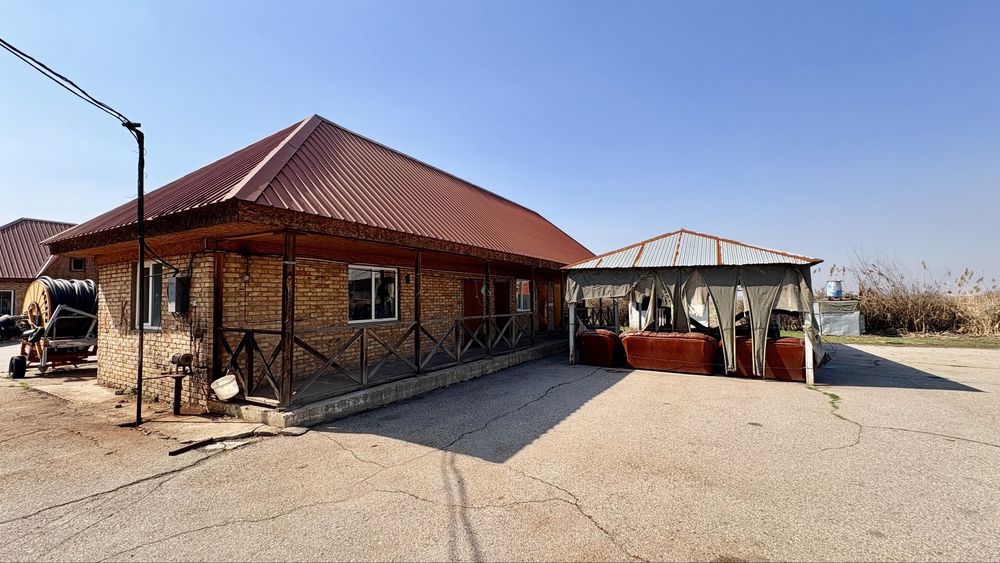 Яблоневый сад 51га