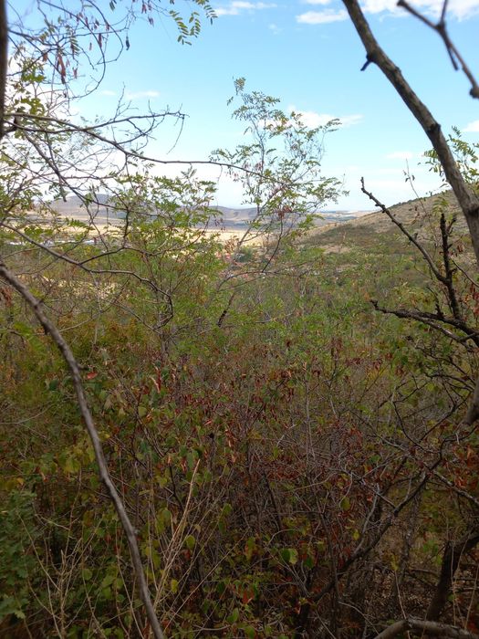 Продава се Къща в Стамболийски - 35 кв.м за 146 €/кв.м - Снимка #8